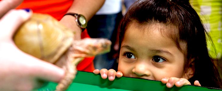 Community Investment