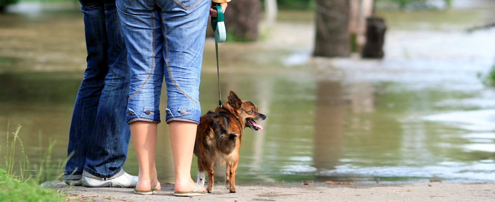 We offer disaster assistance loans