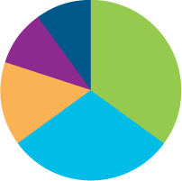 A pie chart representing the components of a credit score.