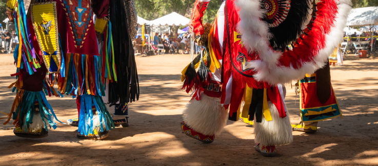 Indigenous People's Day