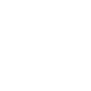 Brain Icon