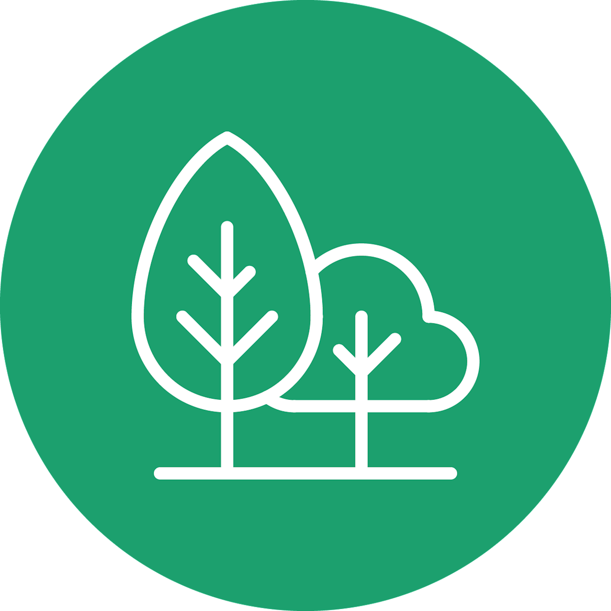 Trees Icon