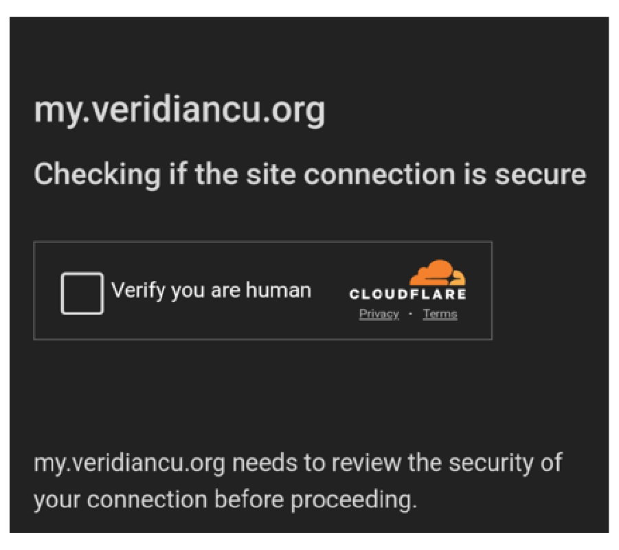 Screenshot of the additional security check. 